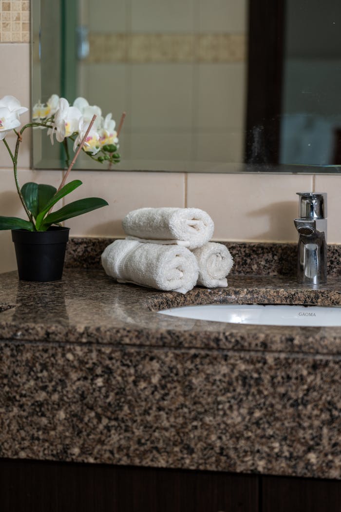 Stylish bathroom with granite sink, rolled towels, and a potted orchid.
